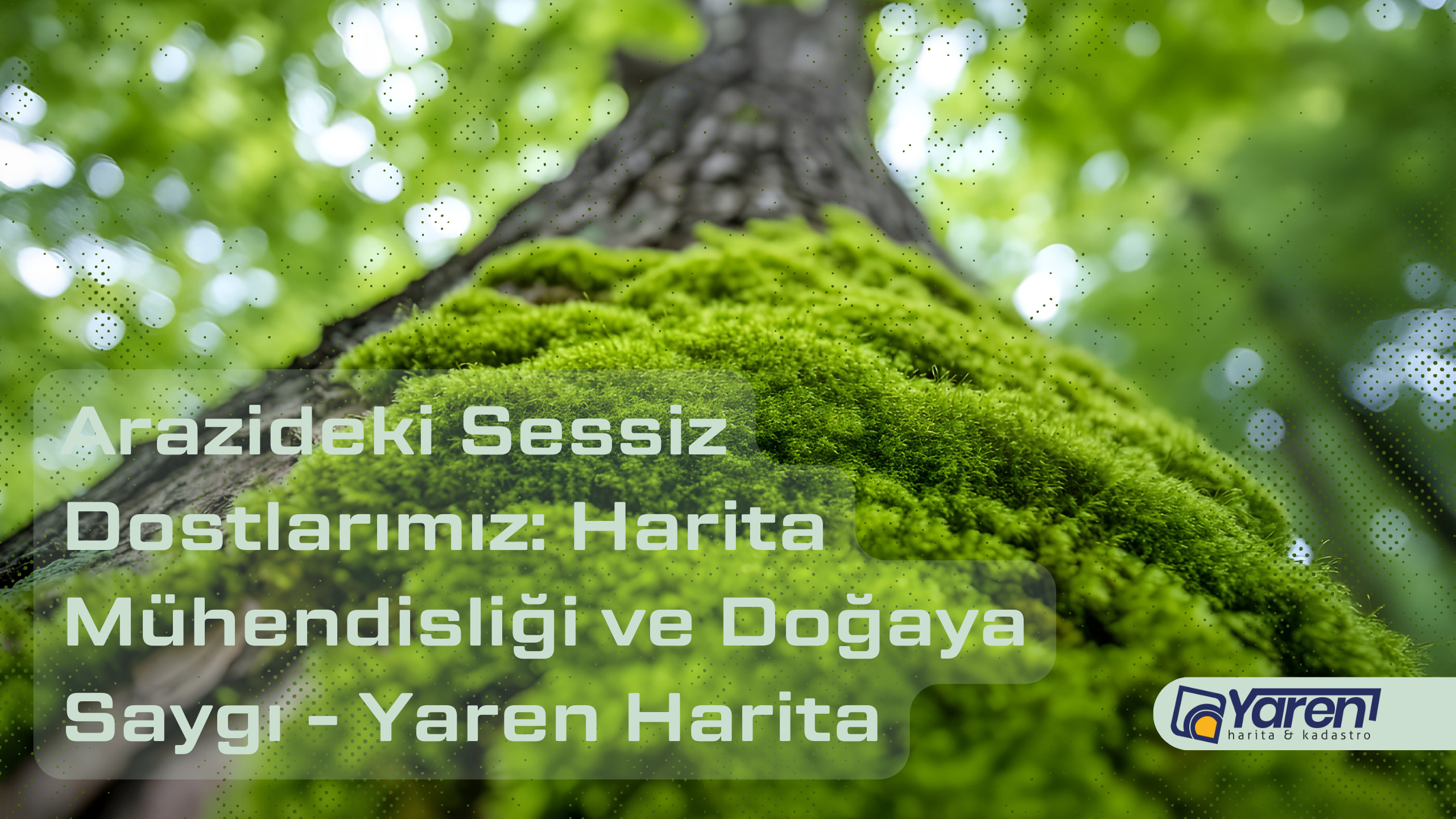 Arazideki Sessiz Dostlarımız: Harita Mühendisliği ve Doğaya Saygı