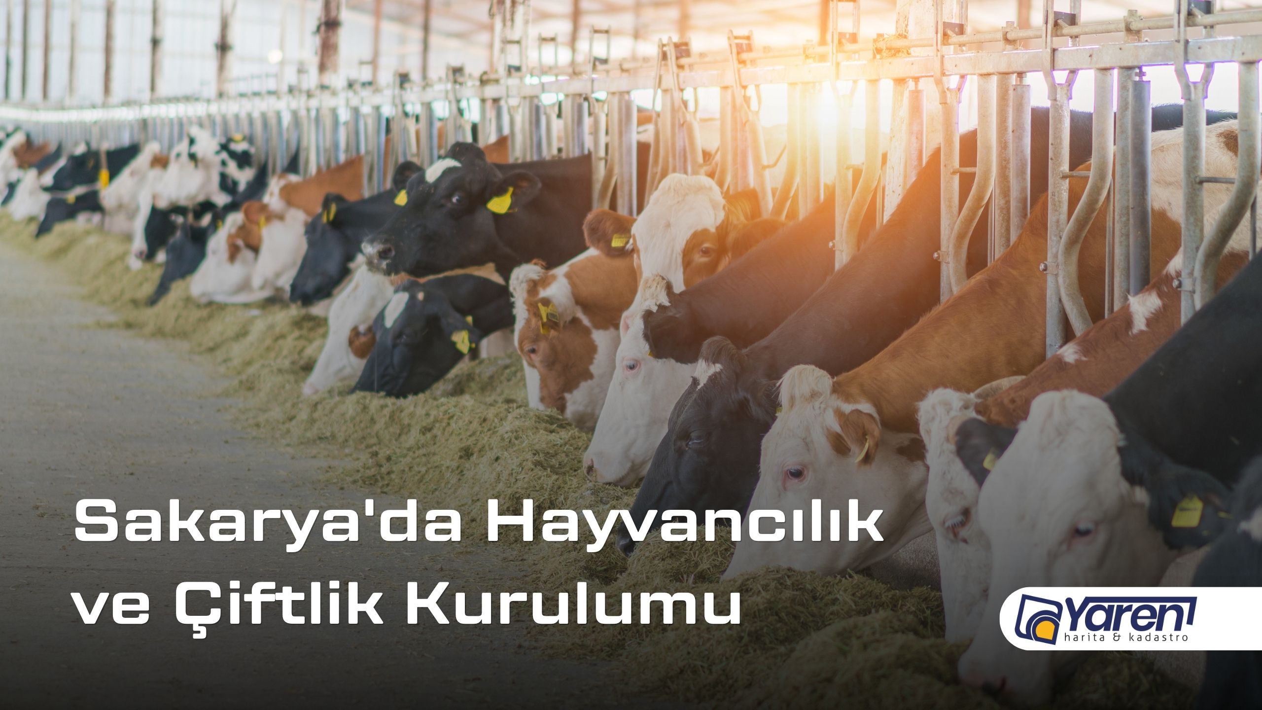 Sakarya’da Hayvancılık ve Çiftlik Kurulumu İmar Süreçleri